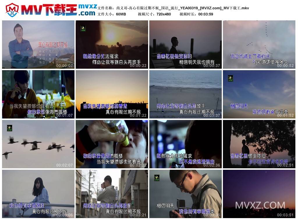 尚义哥-真心有限过期不候_国语_流行_YEA00319